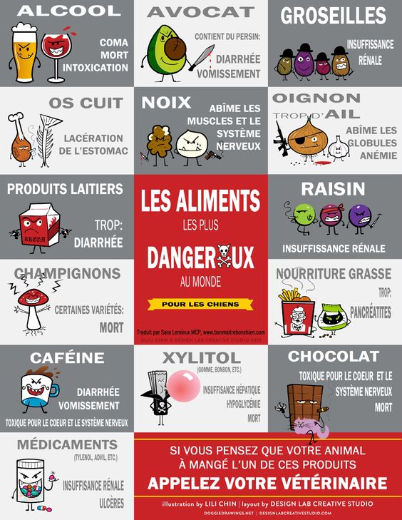 LES ALIMENTS LES PLUS DANGEREUX