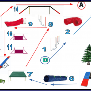 Plan d initiation d agility